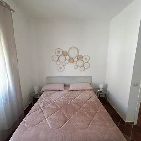 Apartment Fly &